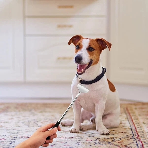 3 Pack Extendable Back Scratcher Long Reach Back Scratcher Telescopic Steel