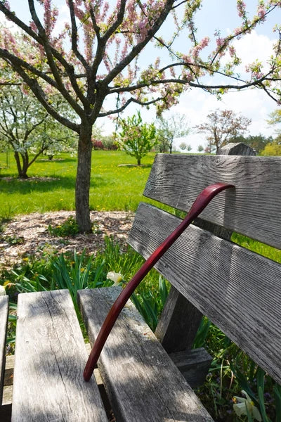 Oversized Wooden Back Scratcher: 18'' Extended Curved Handle for Better Reach