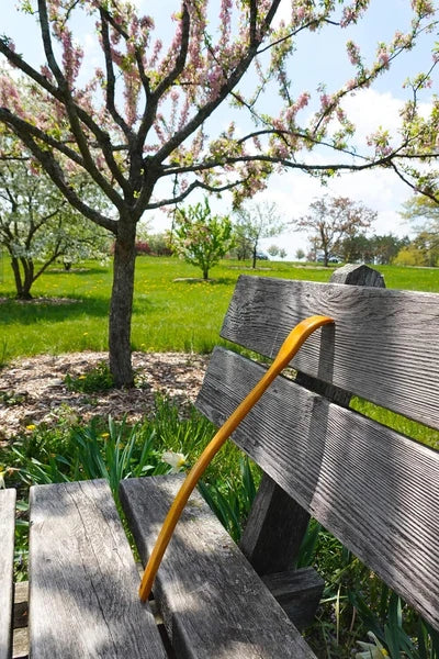 Oversized Wooden Back Scratcher: 18'' Extended Curved Handle for Better Reach, H