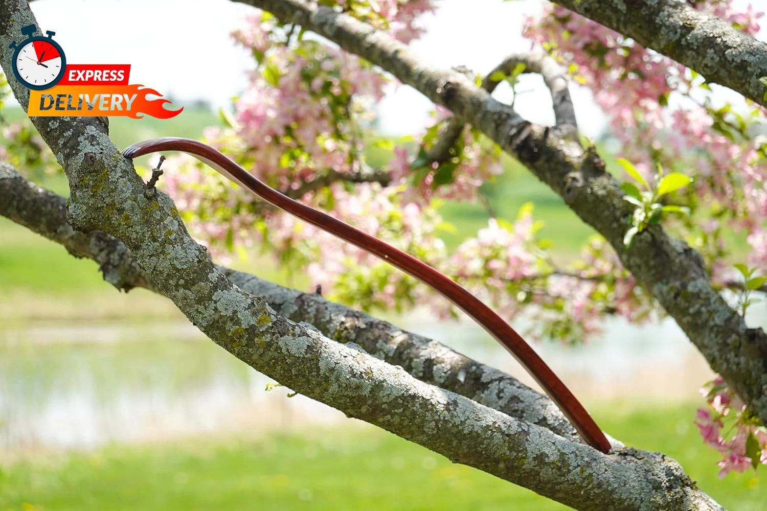 ITCHY-BAN Oversized Wooden Back Scratcher: 18'' Extended Curved Handle for Bette