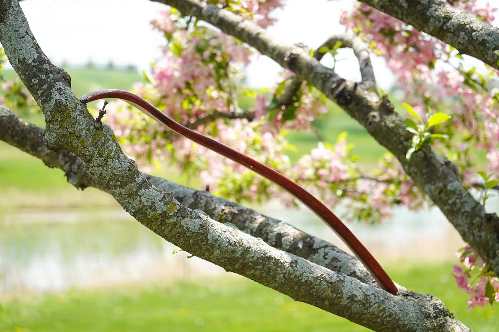 Oversized Wooden Back Scratcher: 18'' Extended Curved Handle for Better Reach