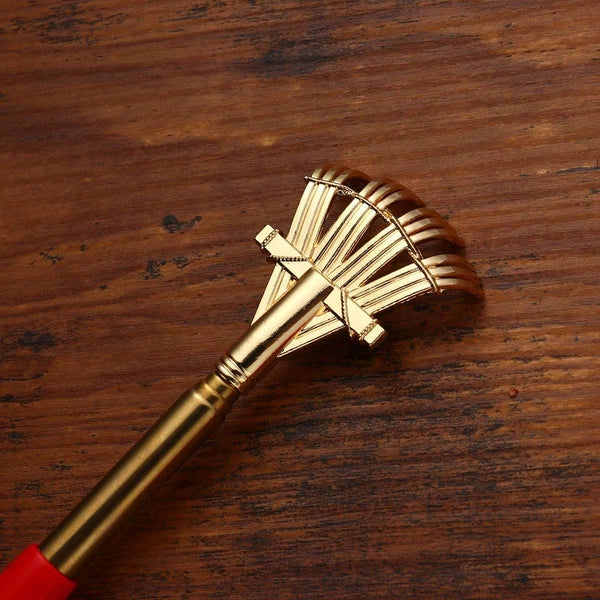 2pcs Extendable Scratcher Back Scratchers Hand Massage for Scratching Back Itch
