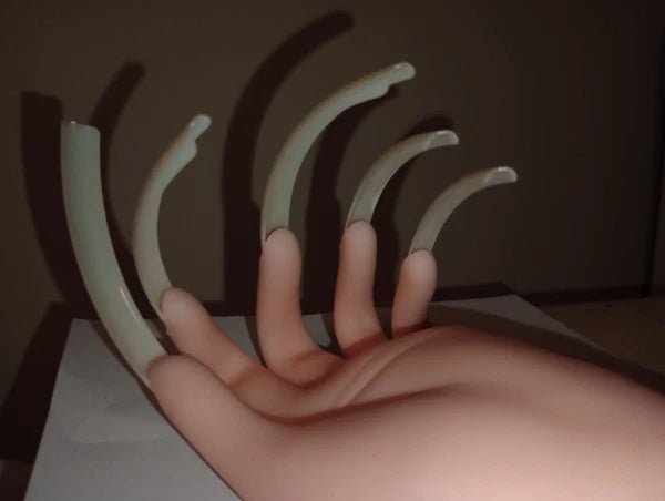 The Ultimate Back Scratcher Claw