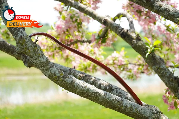 ITCHY-BAN Oversized Wooden Back Scratcher: 18'' Extended Curved Handle for Bette